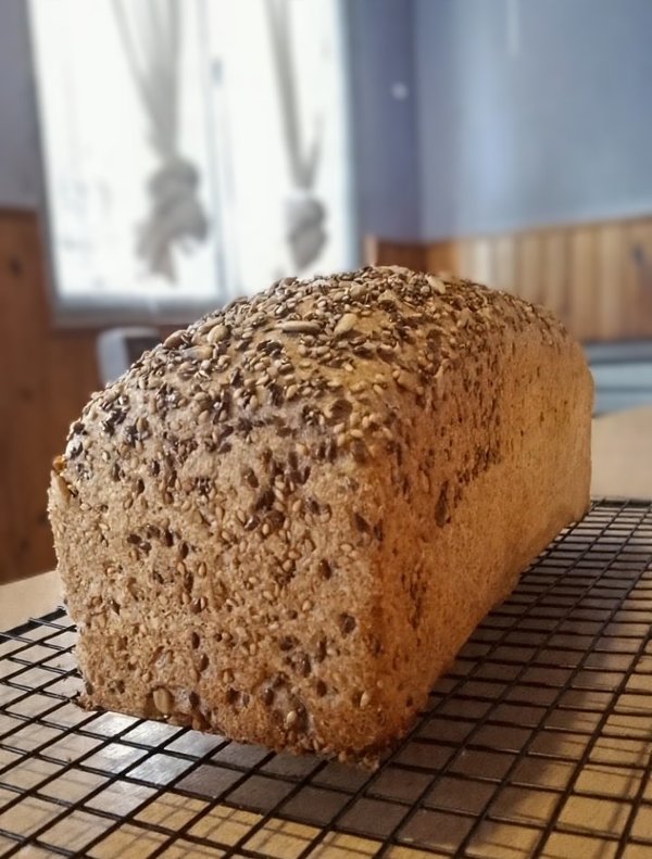 Pan de molde Integral 