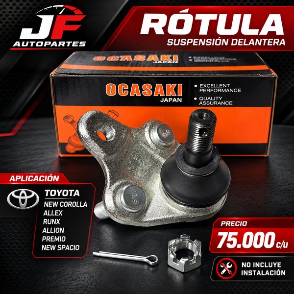 Rotula 