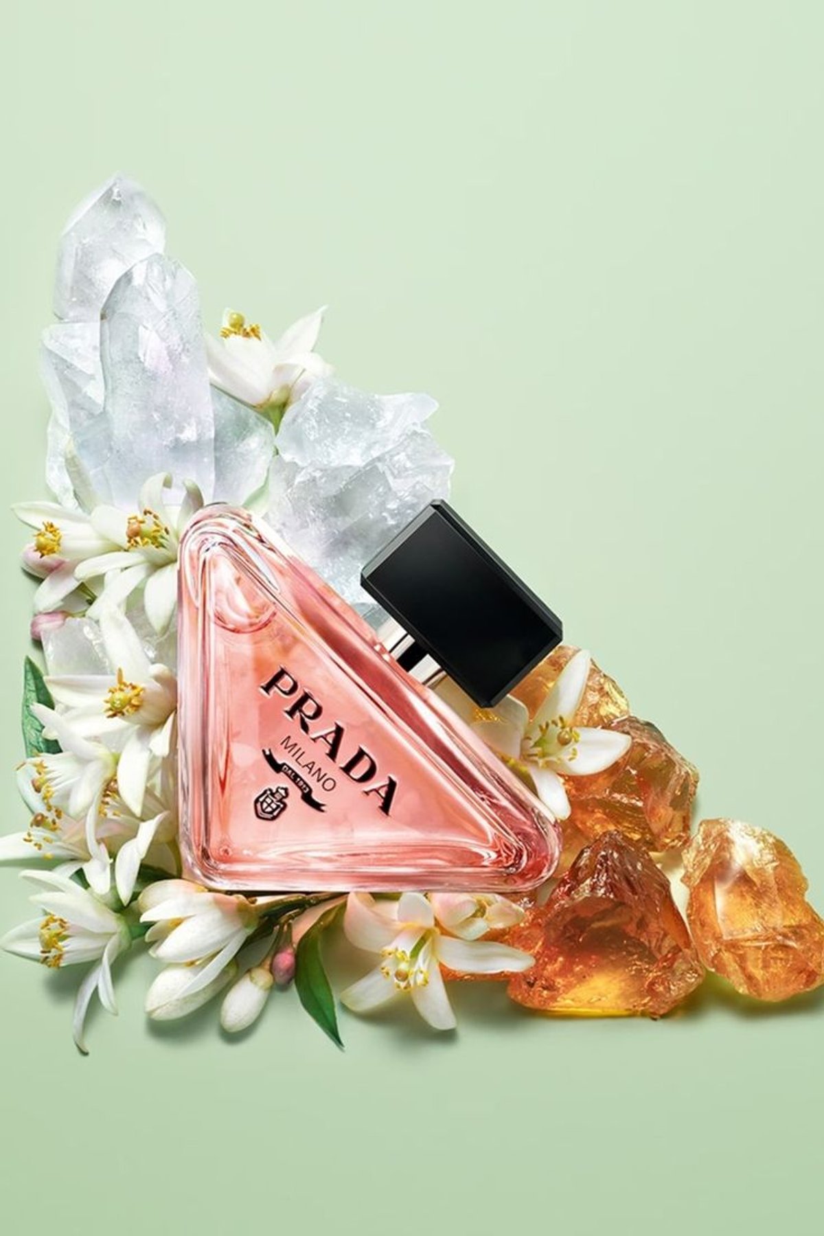 Paradoxe - PRADA - 3