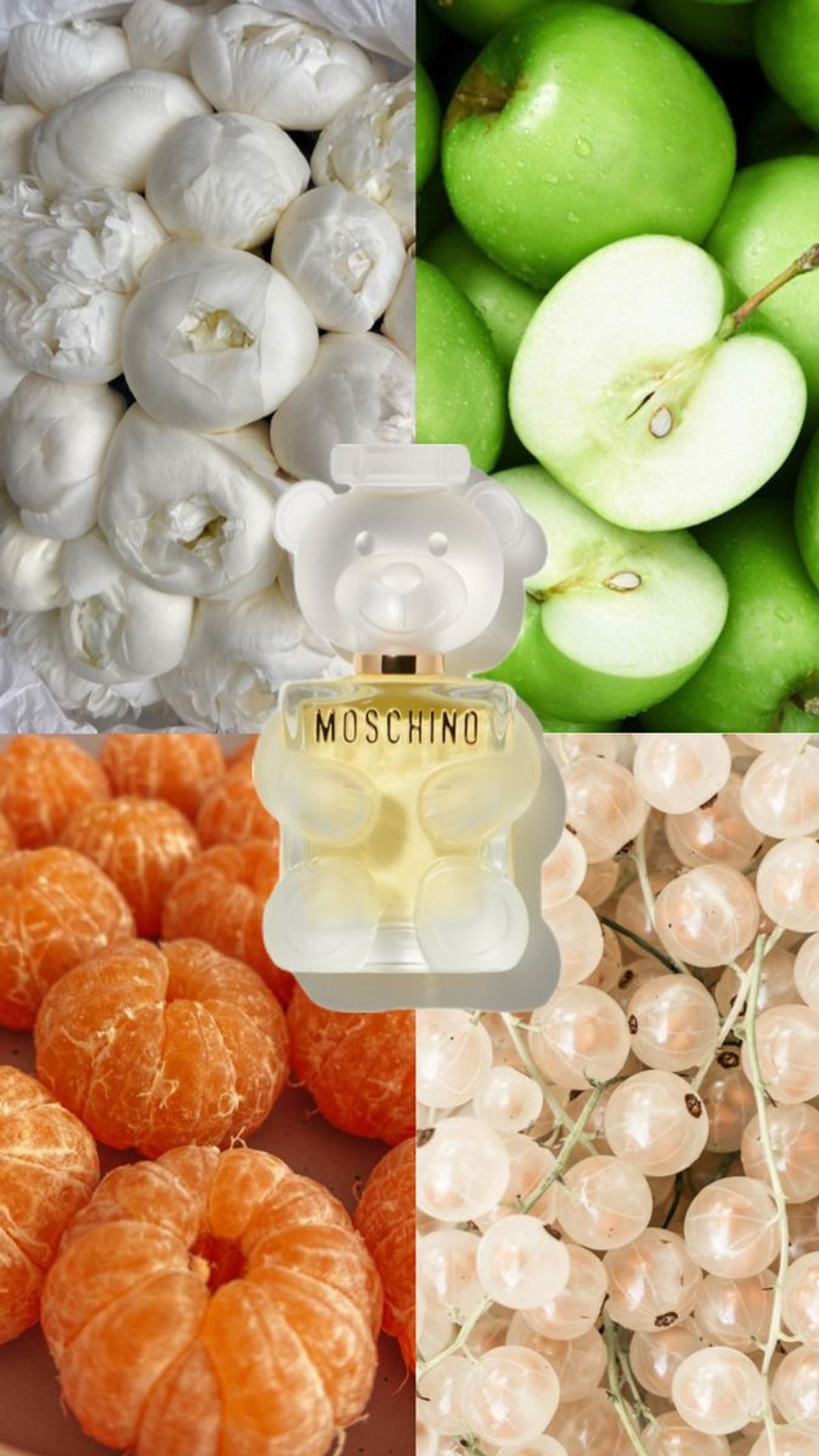 TOY 2 - Moschino - 3