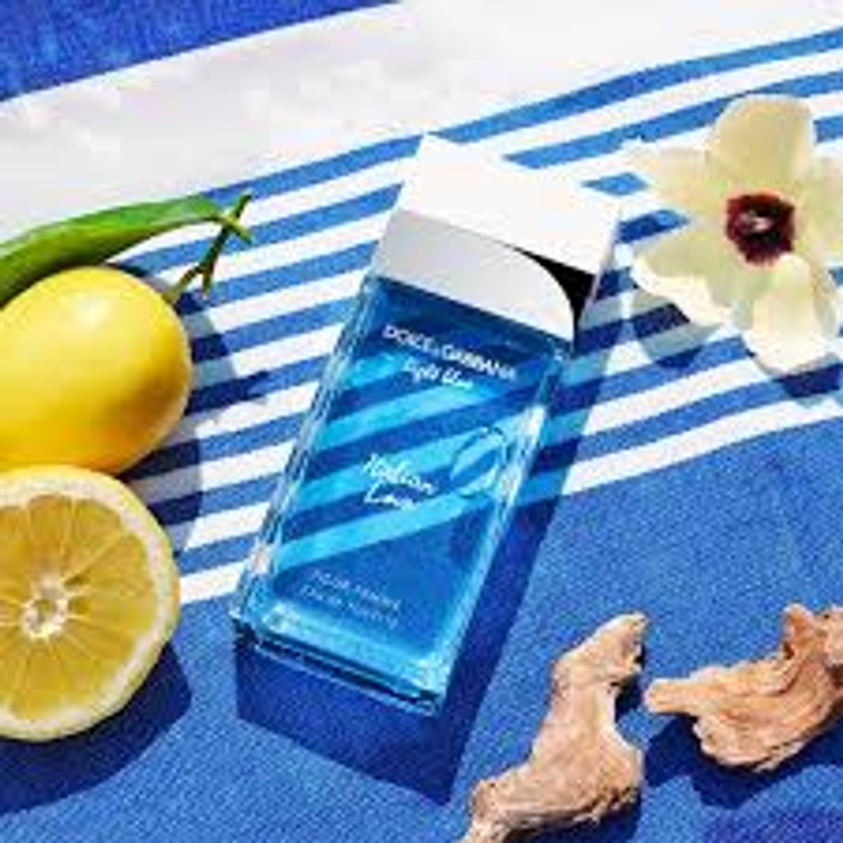 Light Blue ITALIAN LOVE - D & G - 3