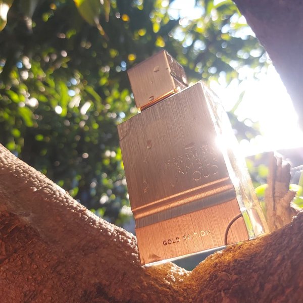 Al haramain amber oud gold edition 