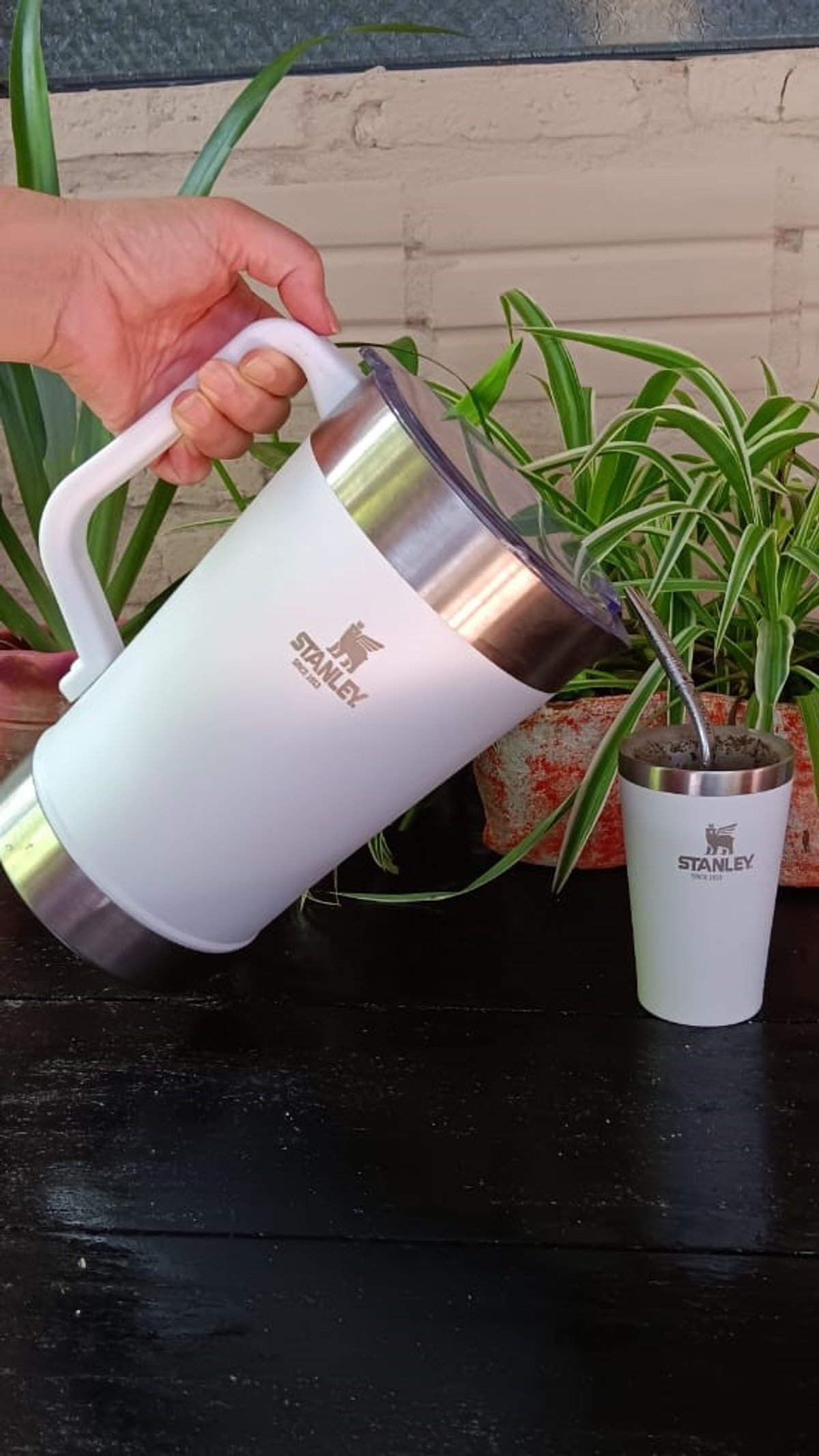 Kit Jarra + Guampa + bombilla