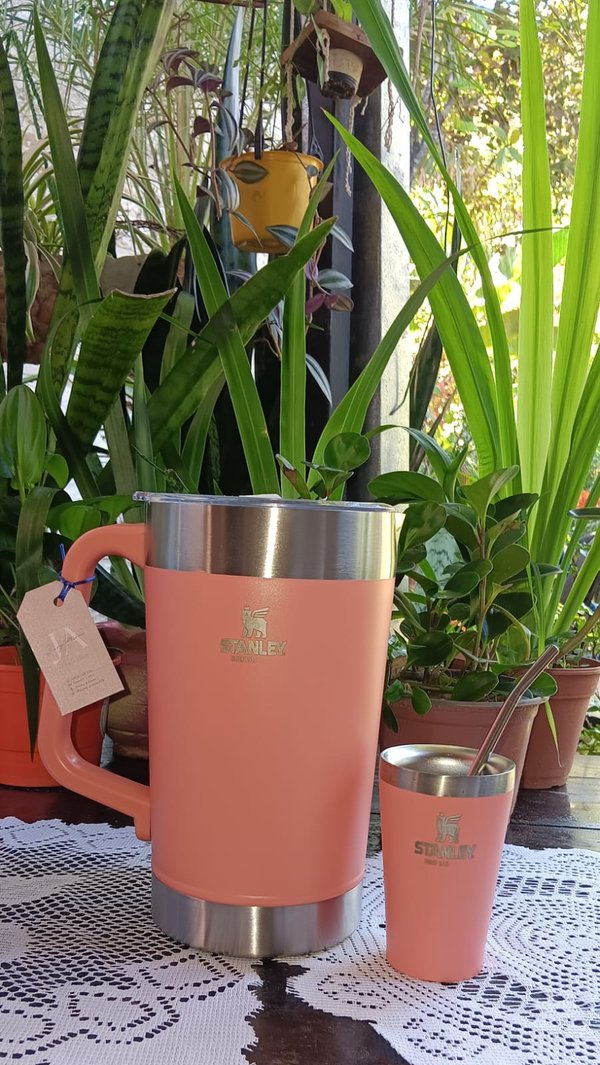 Kit Jarra + Guampa + bombilla