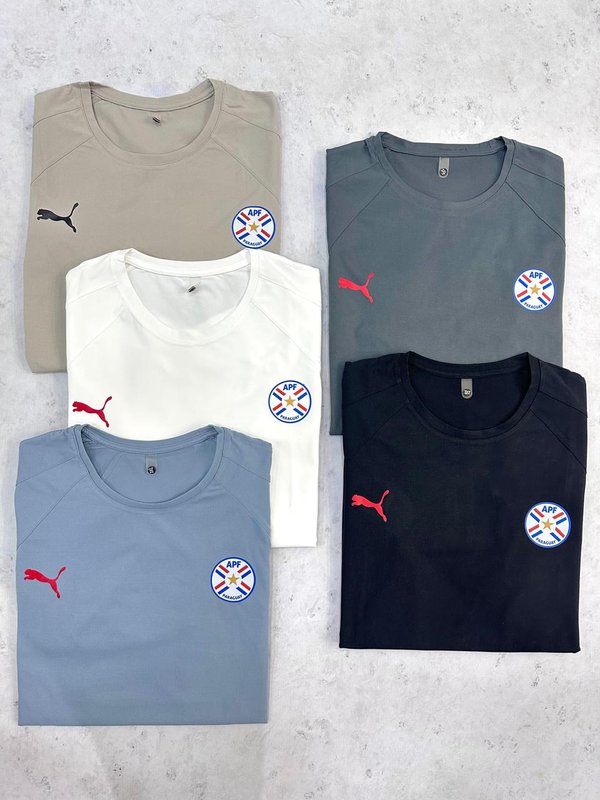 Remeras de la albirroja disponible