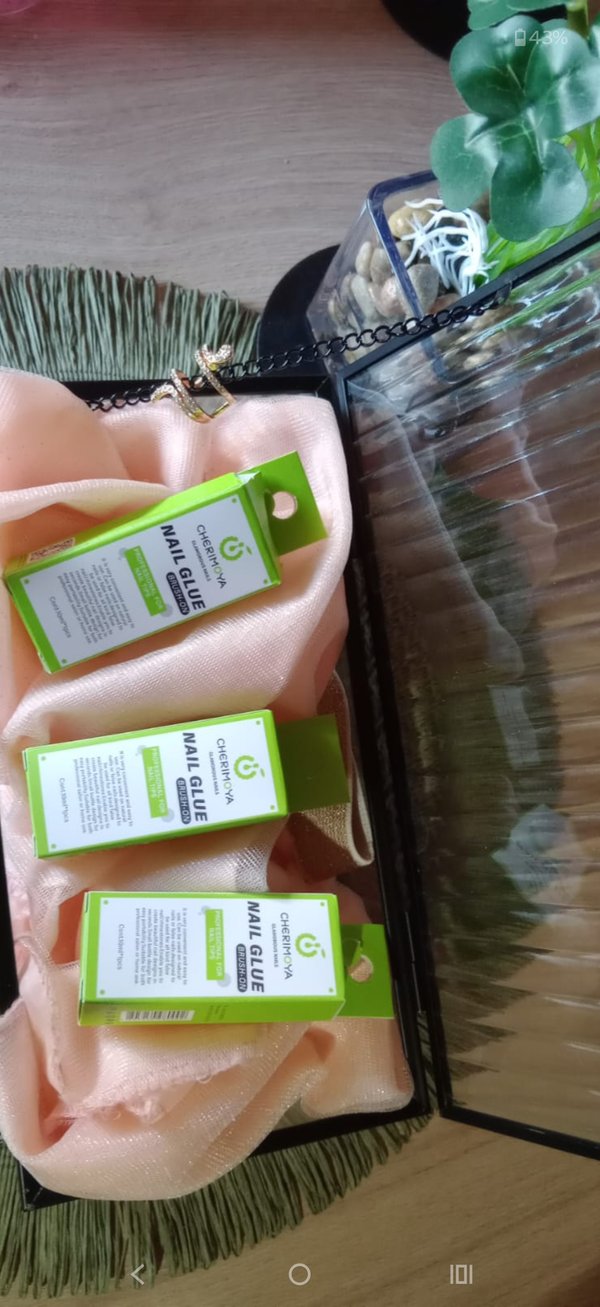 pegamento para tips cherimoya