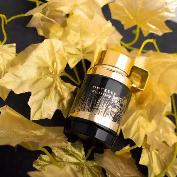 ARMAF ODYSSEY WILD ONE EDP 100ML