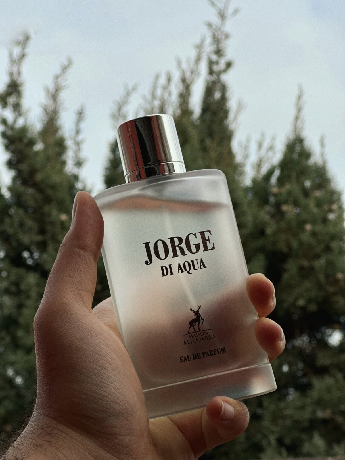 MAISON ALHAMBRA JORGE DI PROFUMO AQUA EDP 100ML  - 2