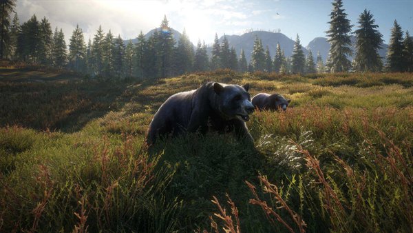 theHunter: Call of the Wild PS4