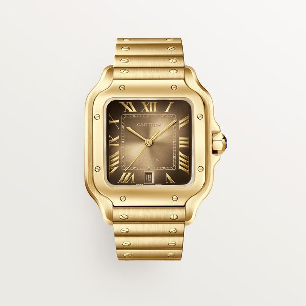 CARTIER SANTOS