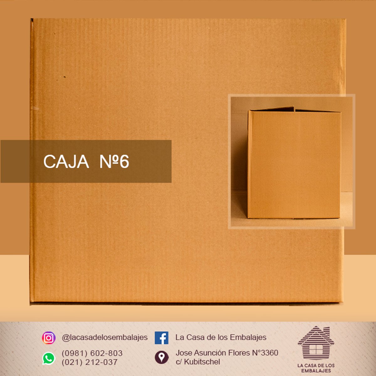 CAJA N°6