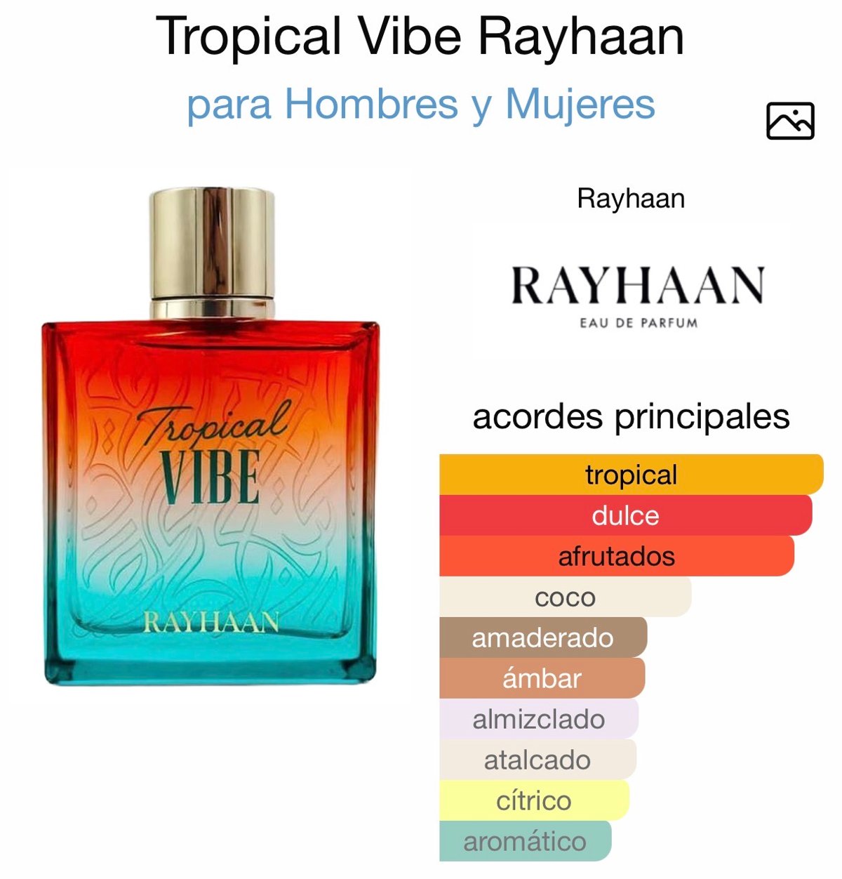 Tropical Vibe - Rayhaan - 2