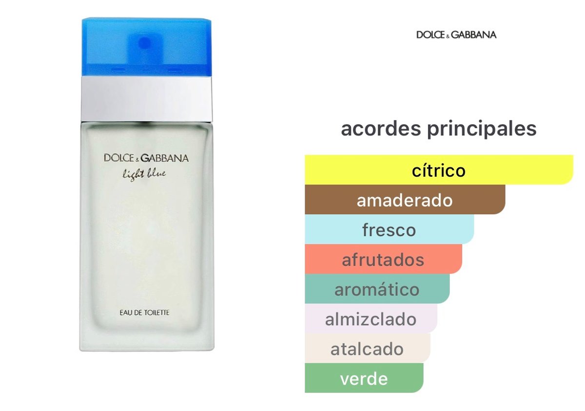 Light Blue - Dolce&Gabbana - 2