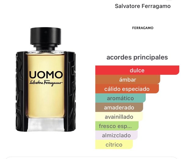 Uomo Salvatore Ferragamo 