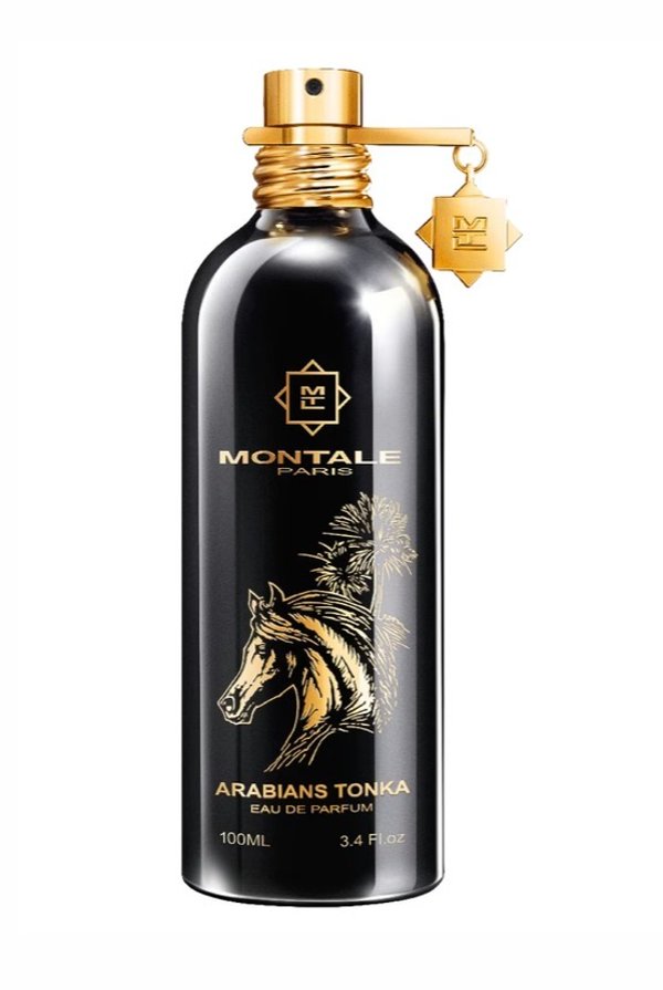 Arabians Tonka - Montale