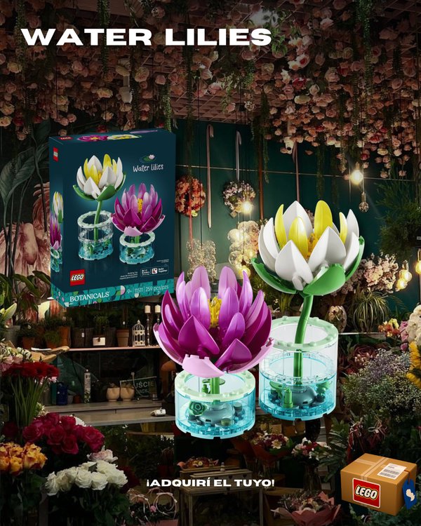 Water Lilies