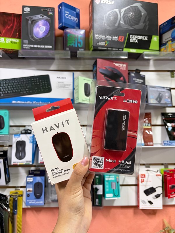 Mouse USB Havit + Hub USB Satellite