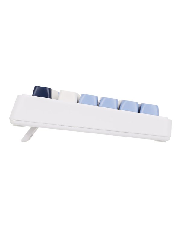 Teclado Gamer Ajazz AF98 Nacodexx USB – Inglés – Azul