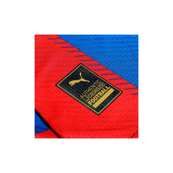 Cerro Porteño | 2024