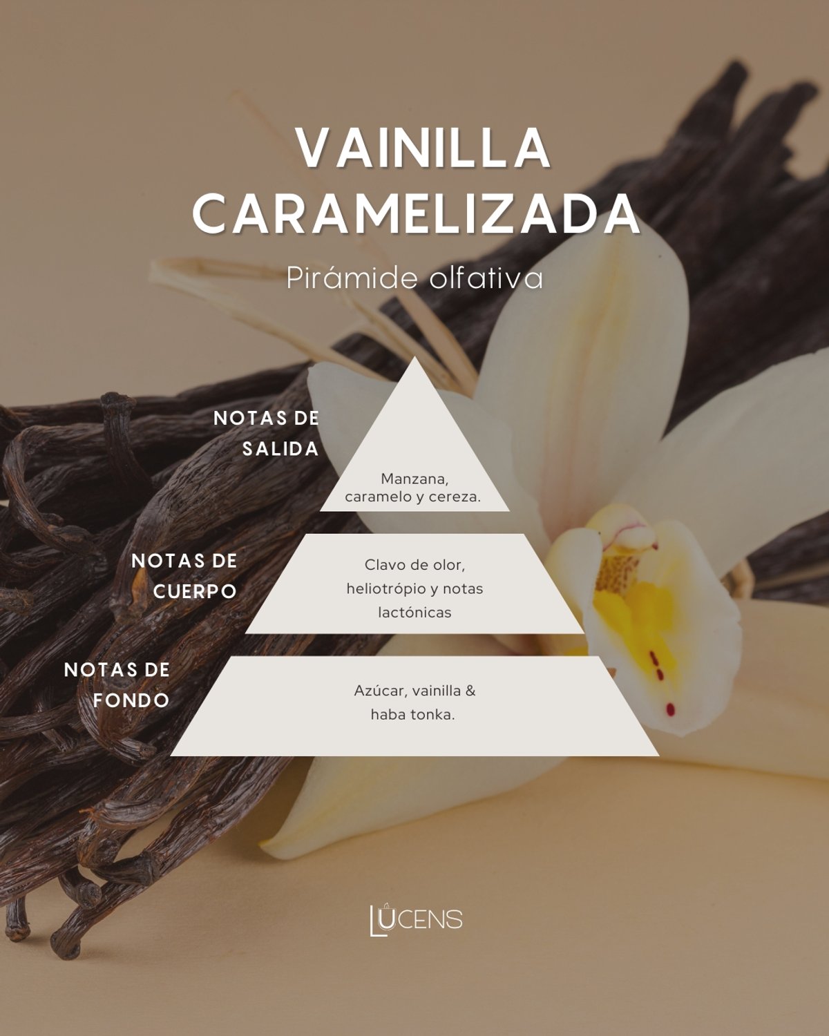 Vainilla Caramelizada - 2