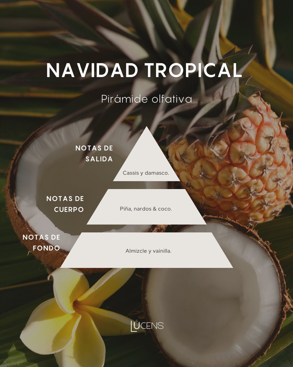Navidad tropical - 2