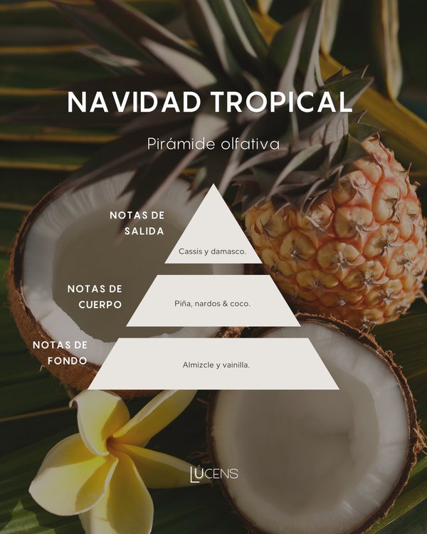 Navidad tropical