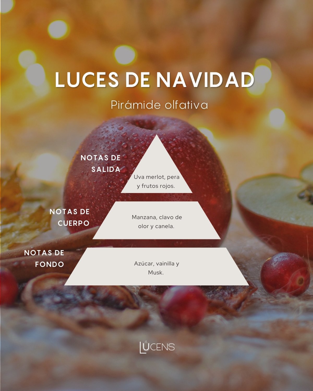 Luces de Navidad - 2