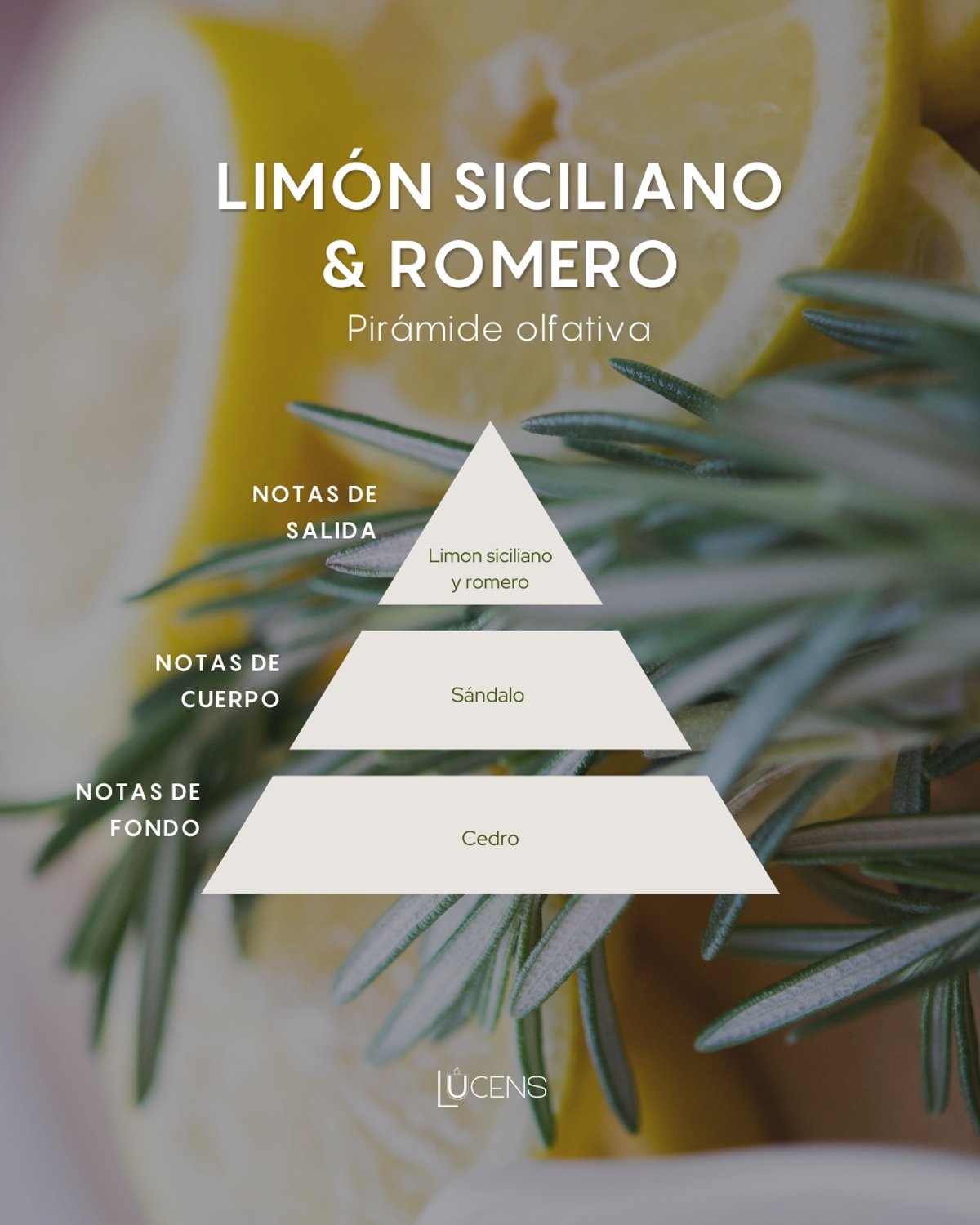 Romero & Limón Siciliano 140 Gr - 2