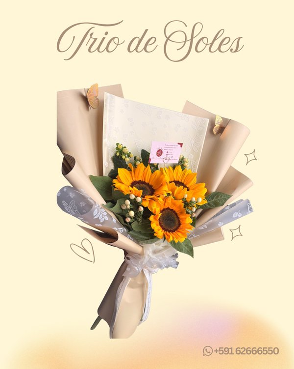 TRIO DE SOLES