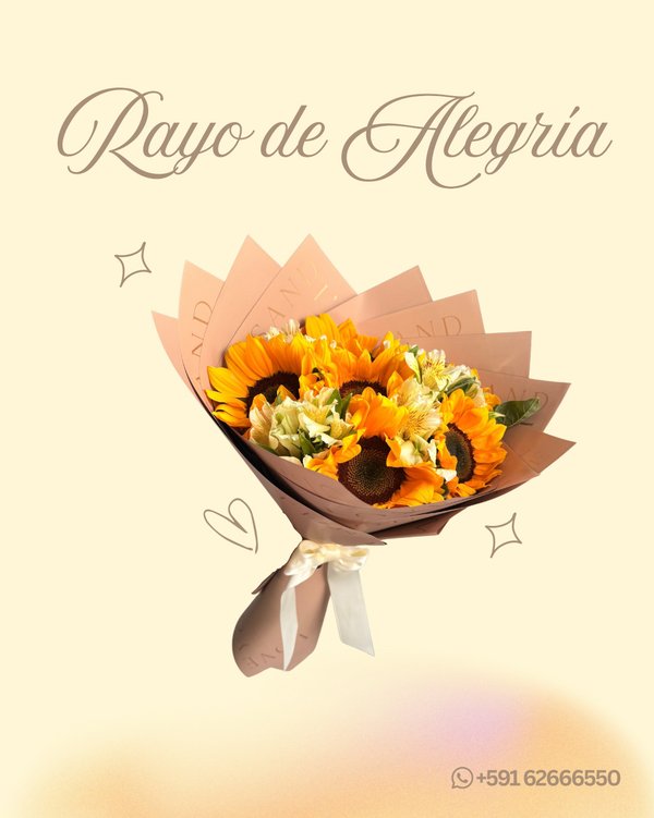RAYO DE ALEGRÍA