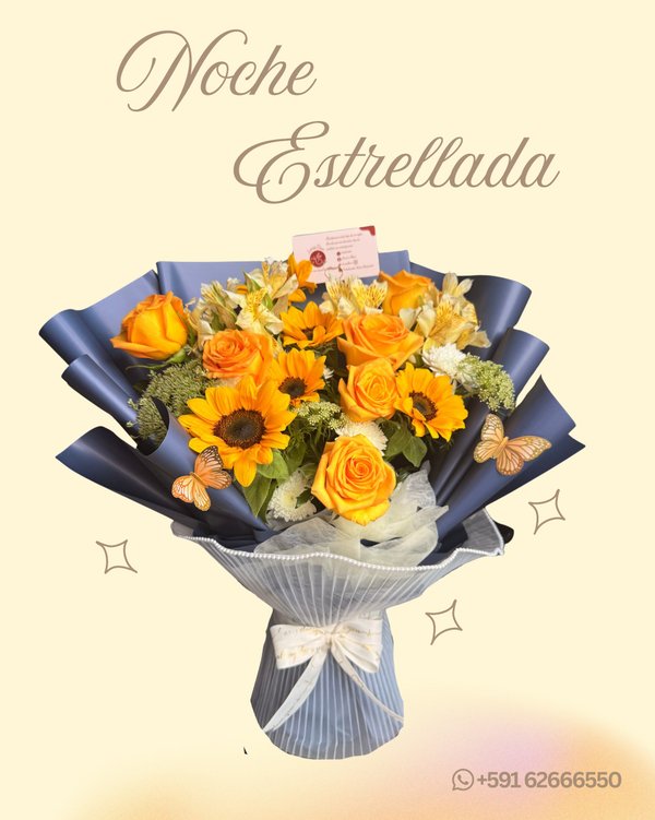 NOCHE ESTRELLADA (arreglo) 