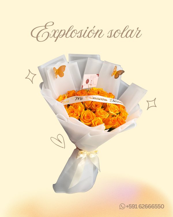 EXPLOSIÓN SOLAR