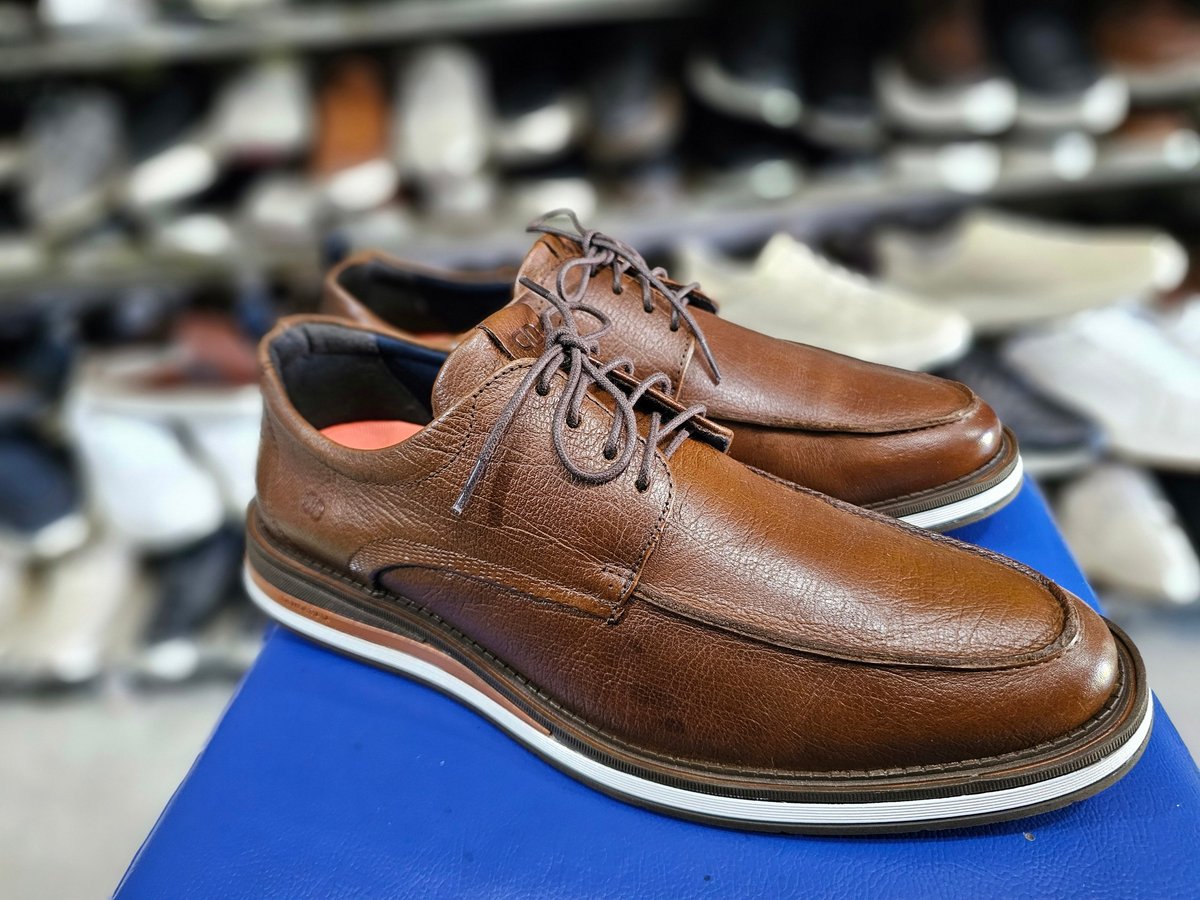 Sport Elegante Democrata 41BR - 2