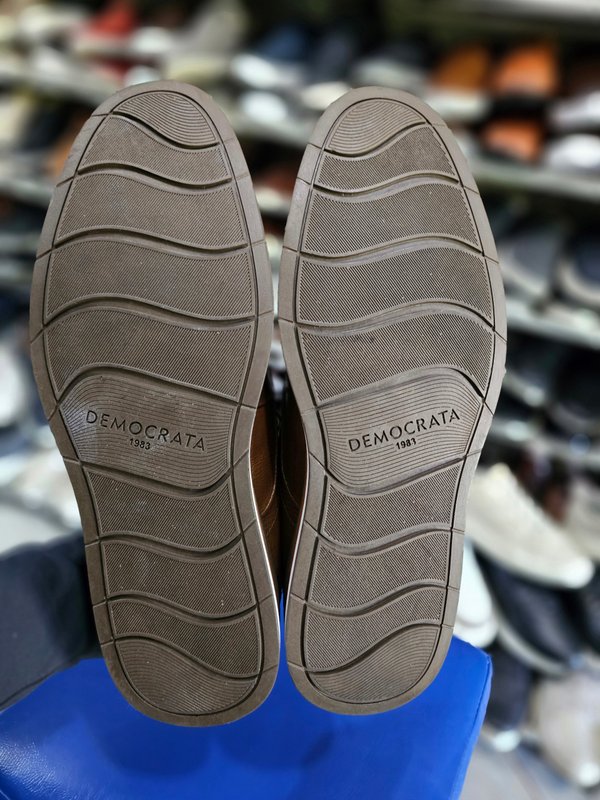 Sport Elegante Democrata 41BR
