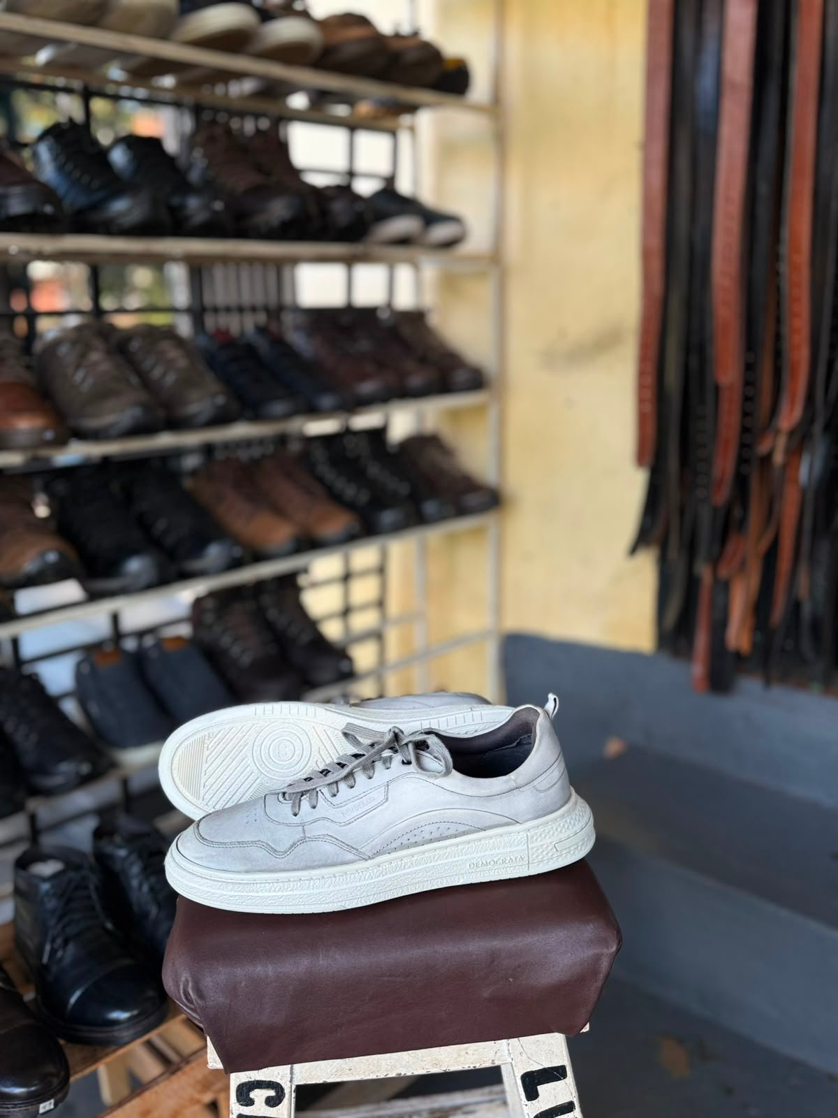 ZAPATENIS DEMOCRATA 43BR - 2