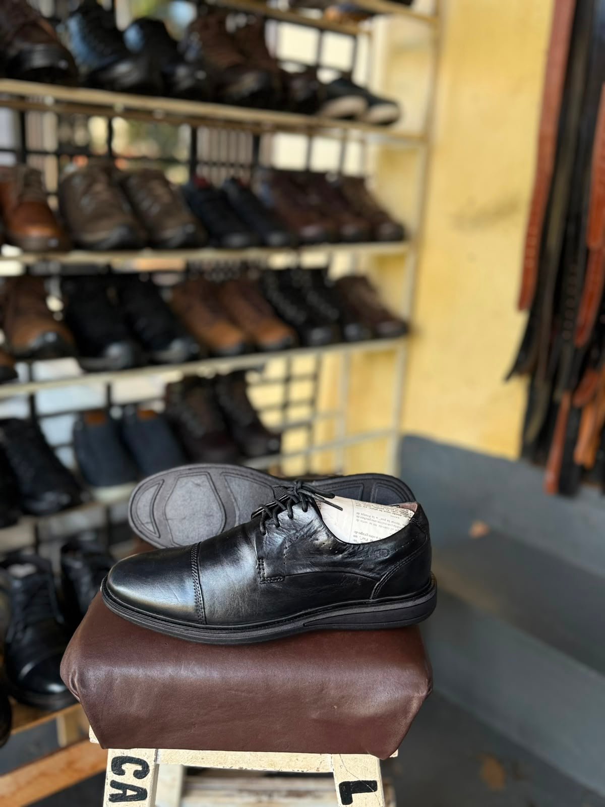 SPORT ELEGANTE DEMOCRATA 41BR - 2