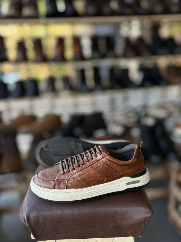 ZAPATENIS DEMOCRATA 41BR