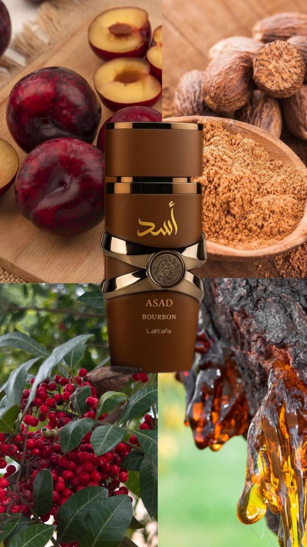 ASAD BOURBON- LATTAFA