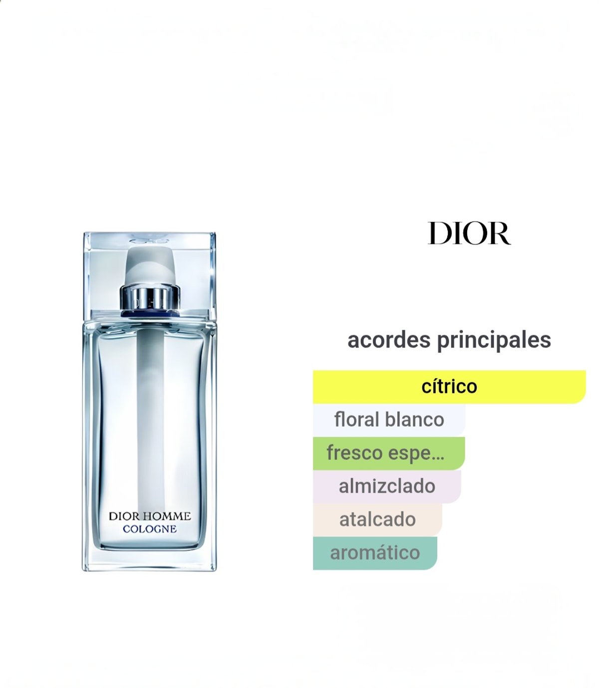Dior Homme Cologne 2013