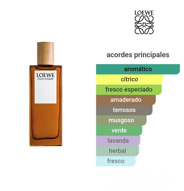 Loewe Pour Homme