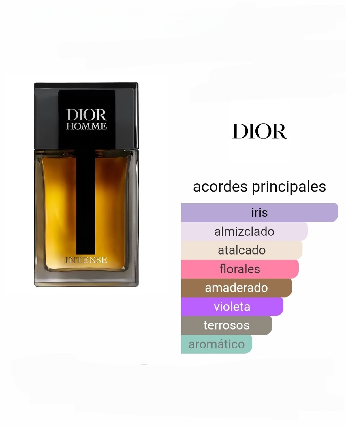 Dior Homme Intense