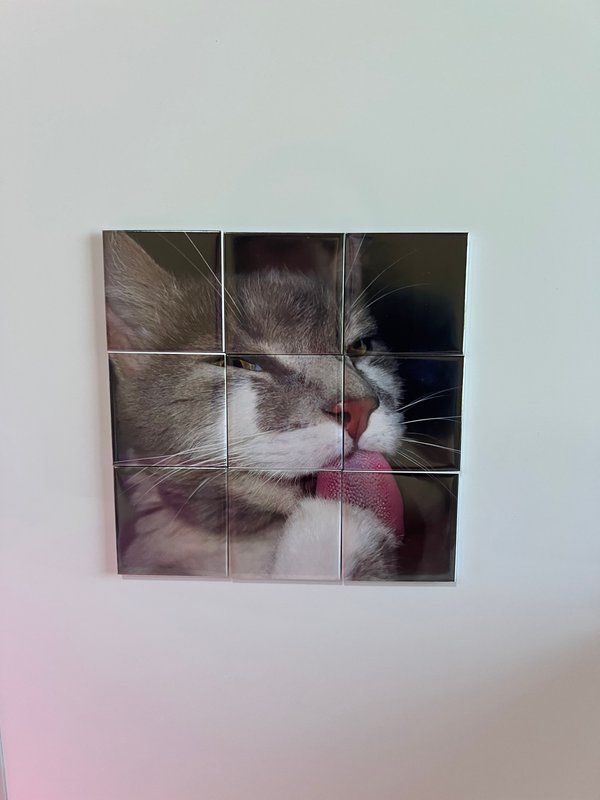 Combo Puzzle(rompecabezas) 🧩📸🧲