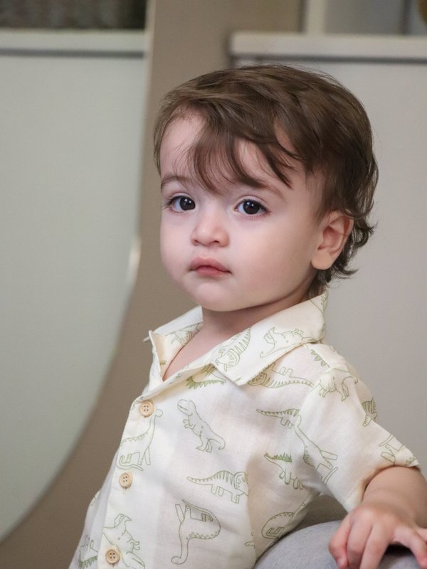 Camisa ALTOS - Dinosaurios beige c/ verde