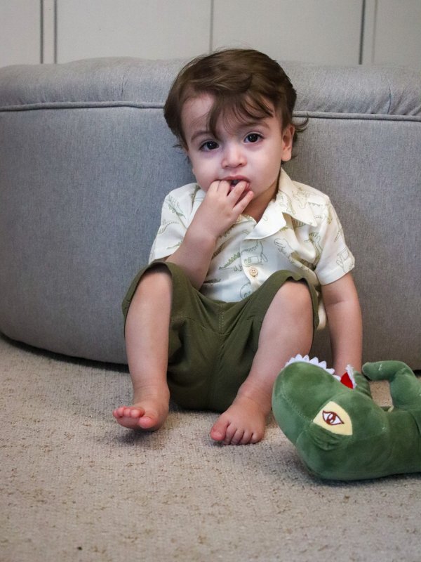 Camisa ALTOS - Dinosaurios beige c/ verde