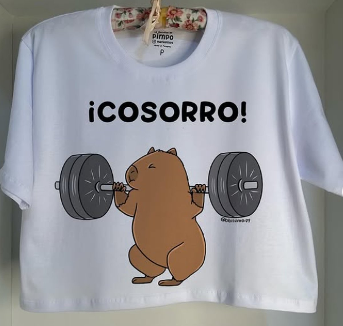 Carpi Socorro By: @bbilustra.py