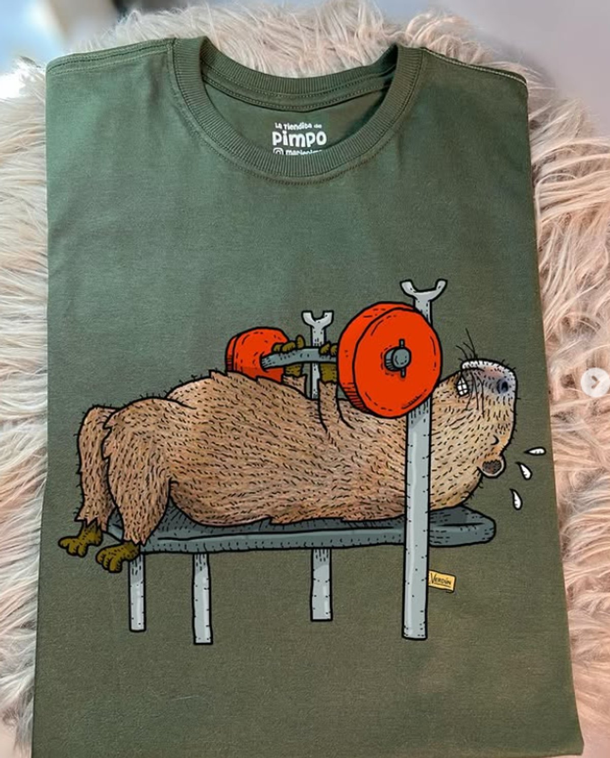 Carpi Banco Plano By: @guilleinsta