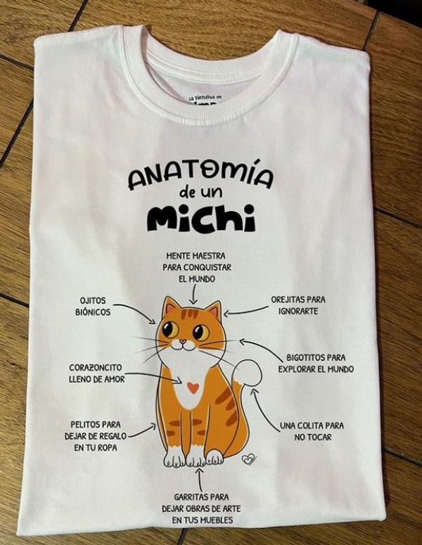 Anatomia de un Michi By: @bbilustra.py