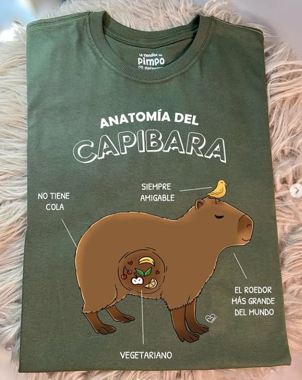 Anatomia del Capibara By: @bbilustra.py