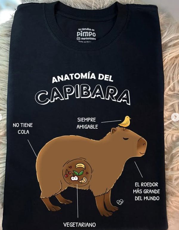 Anatomia del Capibara By: @bbilustra.py