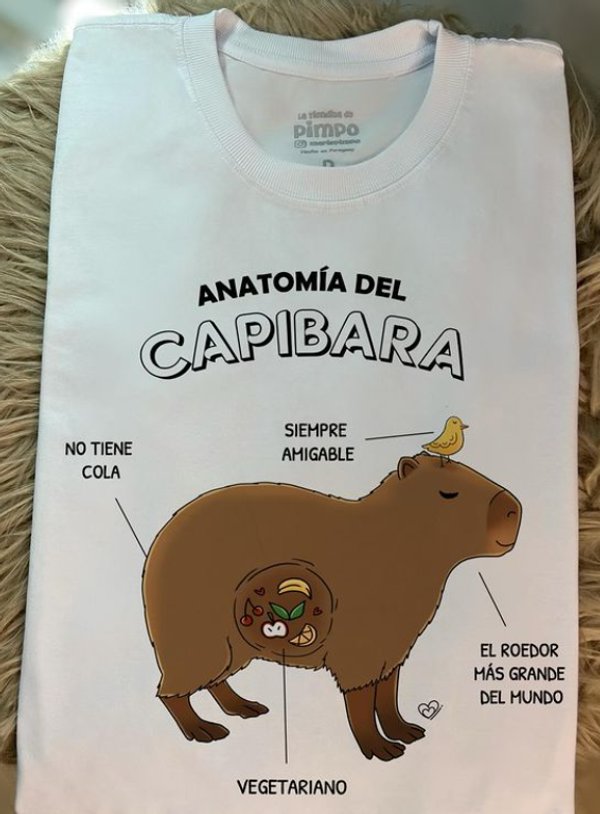 Anatomia del Capibara By: @bbilustra.py